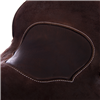 Chocolate 1/2 Breed Rose Corner Barbed Wire Round Barrel Sad