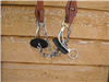 Merril Bits Short Gag with Chain and Dogbone