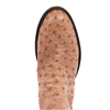 Mens Short Zip Brandy Brucito FQ/Brandy Brucito Smooth Ostrich
