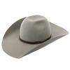 Bronc Willow