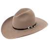 Black Alligator Hat Band