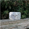 Plain Steer High Polished Western Buckle