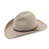 RANCH HAND CHAMPAGNE 4"