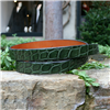 Cypress Green Alligator 3/4" Belt