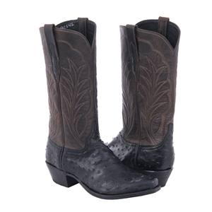 Ladies 13" Black Full Quill Ostrich Tobac Winn Cowboy Boot