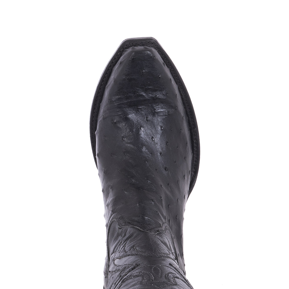 Ladies Cowboy Black Full Quill Ostrich with Black Kidskin
