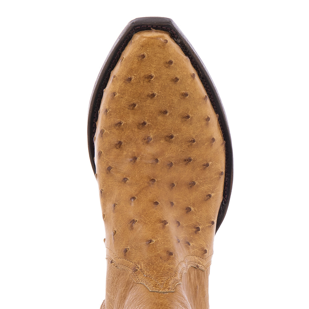 Ladies Shorty Antique Saddle Full Quill Ostrich