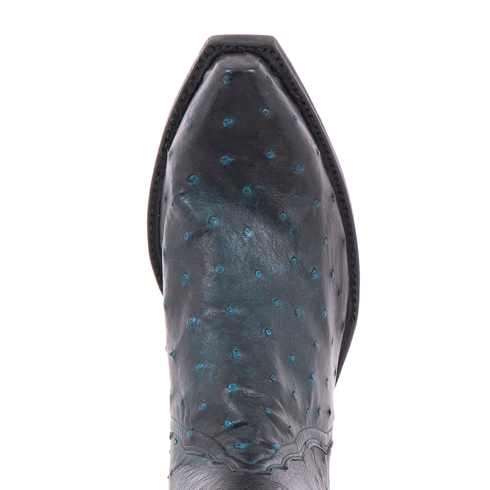 Ladies Short Crystal Blue Ostrich with Black Overwash