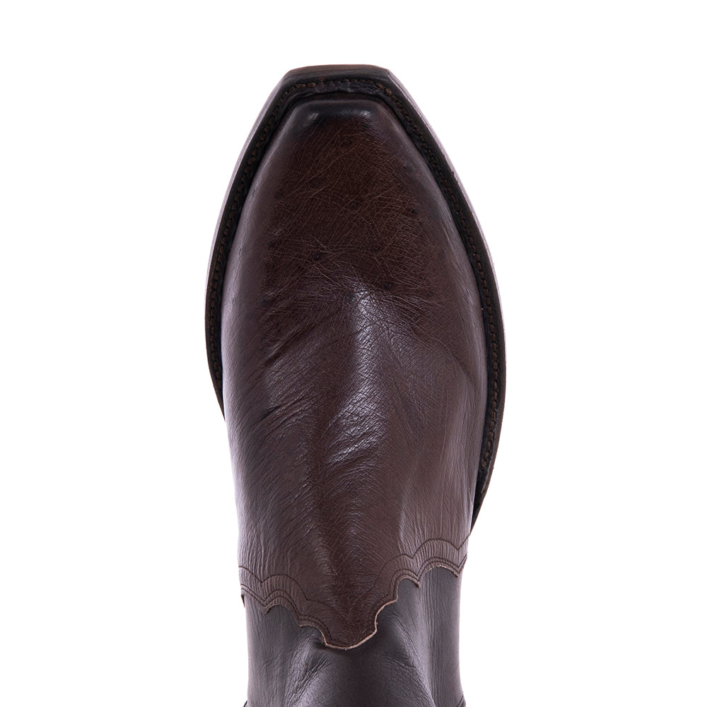 Men's Short Zip Nicotine Smooth Ostrich/Chocolate Aniline