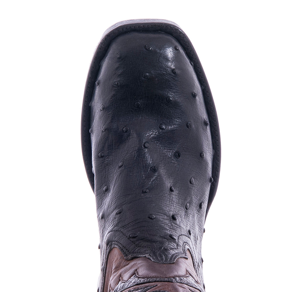 Ladies 12" Black Full Quill Ostrich and Canella Goat Fern Inlay Cowboy Boot