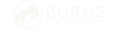 Burns 1876