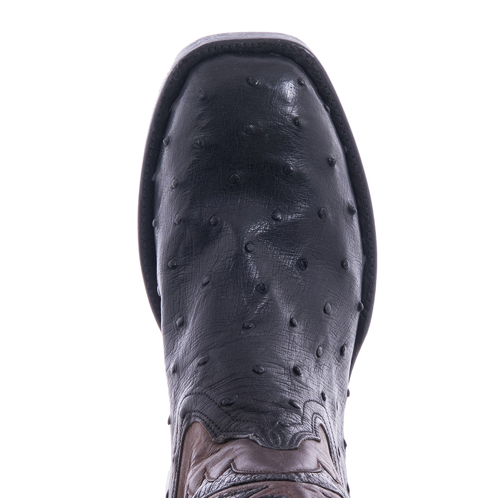 Ladies Cowboy 12-2 Black Full Quill Ostrich/Canella Goat Fern Inlay Spur Lip and Heavy Sole