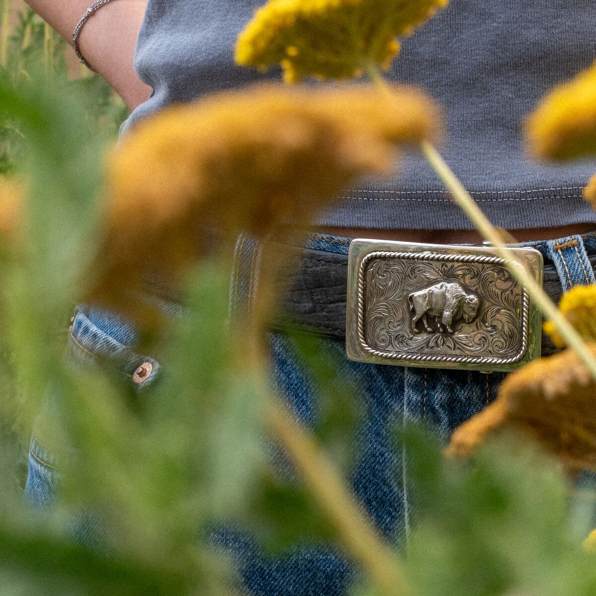 Bison, Western engraved