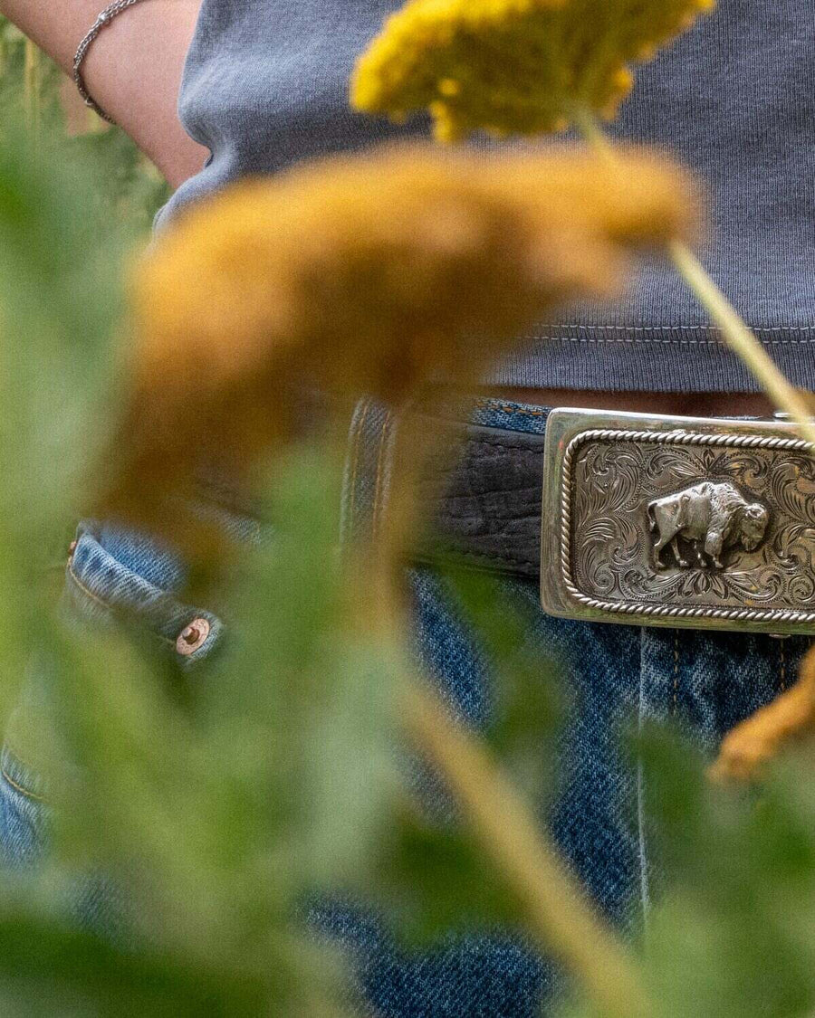 Mesa Western buckle with bison, worn in the field